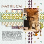 Max the Cat