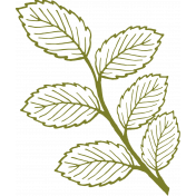 Leafy Branch Outline 10- Template 