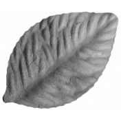 Craft Leaf Template