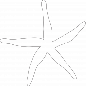 Ocean- Sea Star Illustration