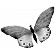 Butterfly Template 001