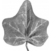 Leaf Template 002