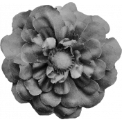 Silk Flower Template 002