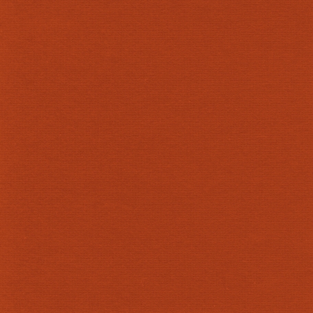 Turkey Time Solid Papers - Burnt Orange Solid Paper graphic by Sheila ...