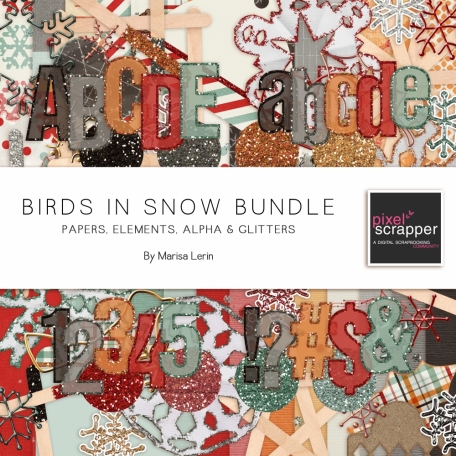 Birds in Snow Bundle
