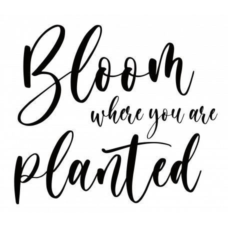 Bloom Where You Are Planted (with white boarder) graphic by Beckey ...