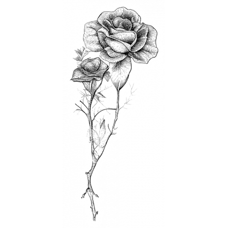 Rose Sticker 3 Graphic By Marisa Lerin 