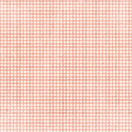 Apple Crisp - Light Pink Gingham Paper graphic by Janet Kemp ...