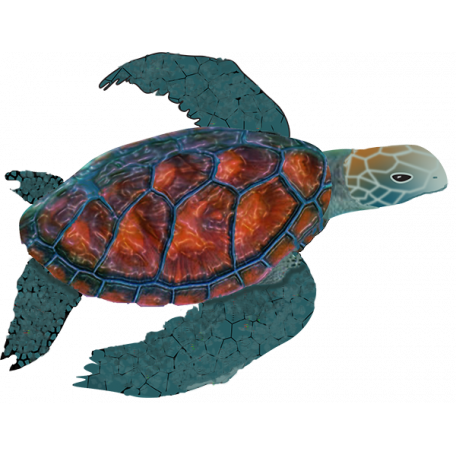 Sea Turtle Graphic By Wendy Arnsmeyer 