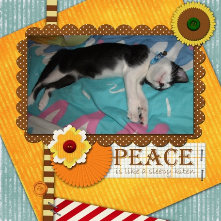 Peace is like a kitten sleepping