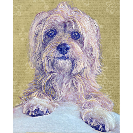 PET PORTRAIT FOR CHARITY!  Craig