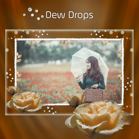 Dew Drops