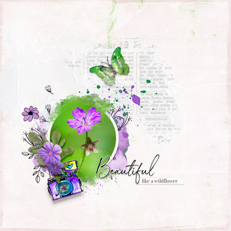 Beautiful wildflower by AMarie Charp | DigitalScrapbook.com Digital ...