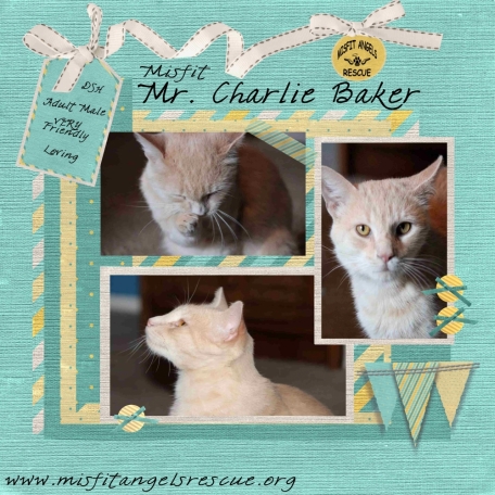 Mr. Charlie Baker