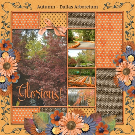 Glorious Autumn - Dallas Arboretum (TS)