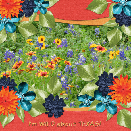 I'm WILD about TEXAS...5wd