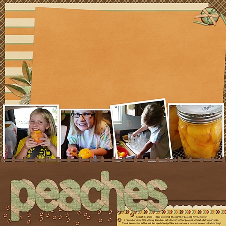 Bottling Peaches 2015