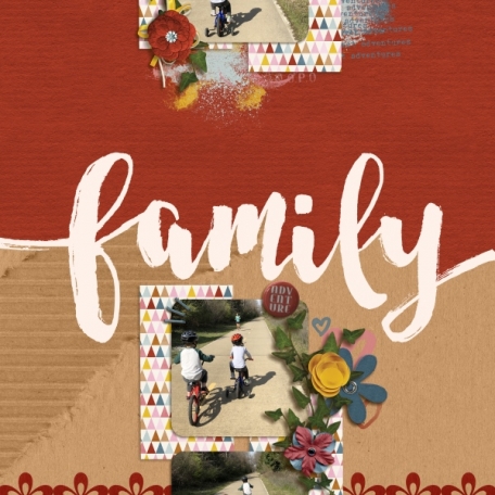 Family Adventure (Collect Adventures)