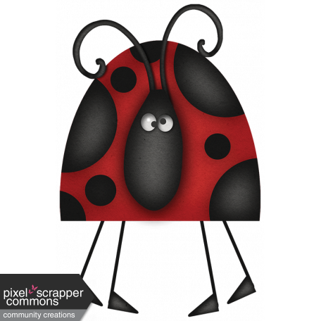 Ladybug 05