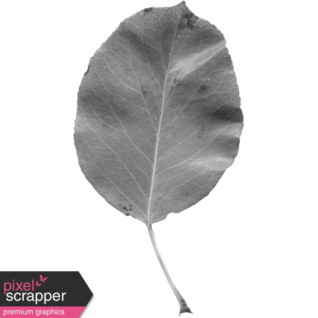 Leaves No. 2 - Leaf Template 8