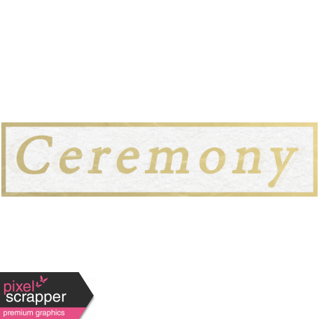 Our Special Day - Word Snippet - Ceremony