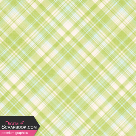 Old Fashioned Summer Plaid Paper 10