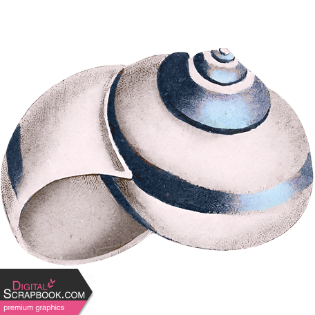 Provincial Seascape shell 1