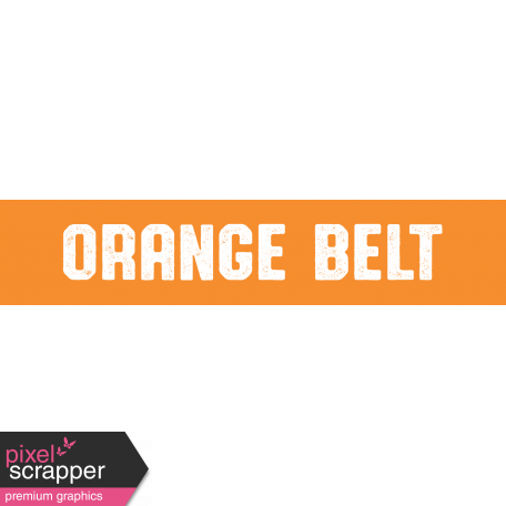Karate Orange Belt Word Art