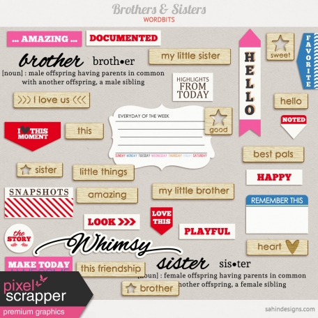 Brothers And Sisters Word Bits Kit