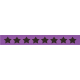 Spookalicious- Stars Label- Purple/Black