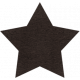 Spookalicious- Black Star Sticker