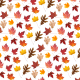 Fall Leaves Overlay