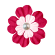 Pink Pearl Flower