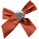 Ride A Bike- Ribbon Bow- Red