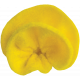 Yellow Felt Flower 04