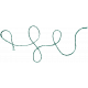 The Lucky One- Teal Curly Twine