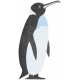 Perky Penguins- Penguin Sticker