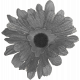 Flower Templates 04 Kit: flower02 (grayscale)