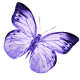 robinsampson_lilac_aqua_mini_element_butterfly_1