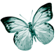 robinsampson_lilac_aqua_mini_element_butterfly_2