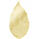 Gold Foir Leaf 04