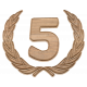 5th Anniversary Wood Medallion 