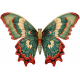 Collected Curiosities #4- Butterfly 02
