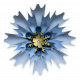 Blue flower 01AMC