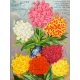 Seriously Floral Pocket Card 15 3x4
