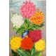 Seriously Floral Pocket Card 15 4x6