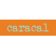 Kenya WordArt caracal