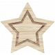 BYB Elements Wood Star 1