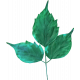 Good Life: July 2022 Elements- Leaf 4