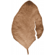 This Is Spooky Elements: Leaf 4